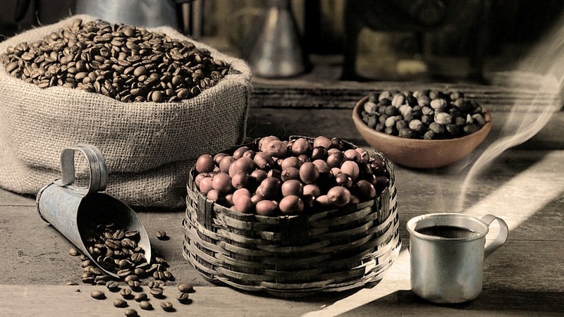 Sejarah dan Jenis Kopi Dunia & Indonesia